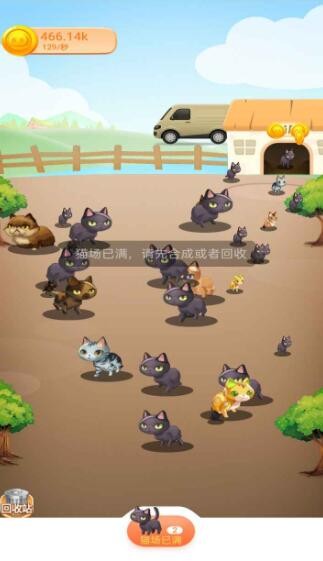 喵星世界 喵星世界