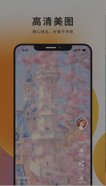 萌猫桌面壁纸 萌猫桌面壁纸