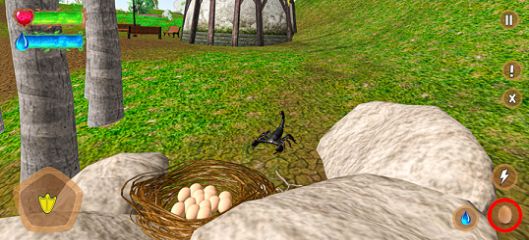 飞行鸭子生活 飞行鸭子生活