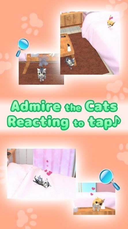 猫是液体排序拼图 猫是液体排序拼图