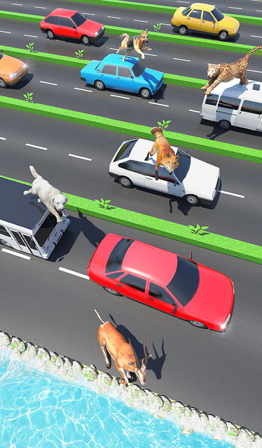 动物公路跳跃 动物公路跳跃