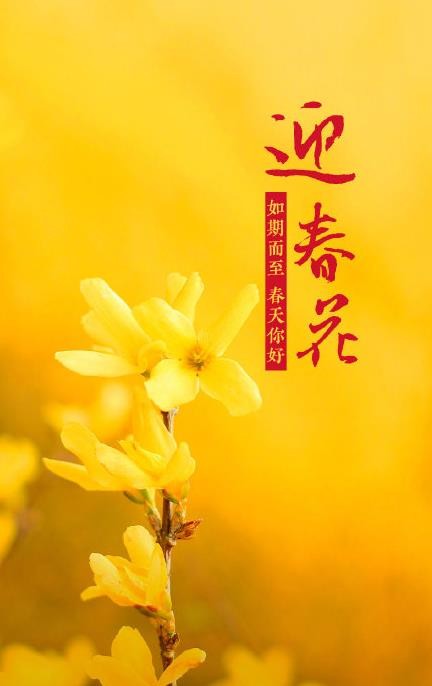 春花壁纸 春花壁纸