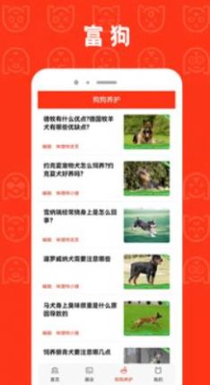 富狗养宠