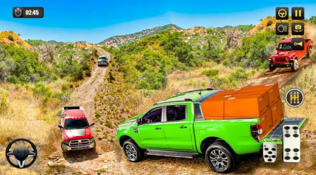 皮卡运输卡车司机 皮卡运输卡车司机