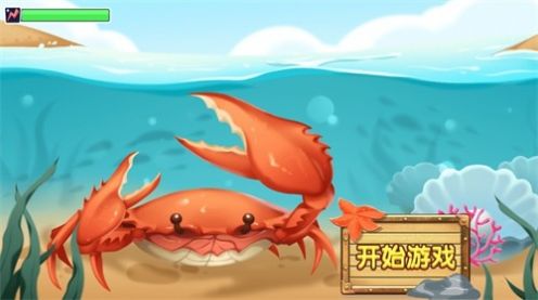 螃蟹争霸赛 螃蟹争霸赛