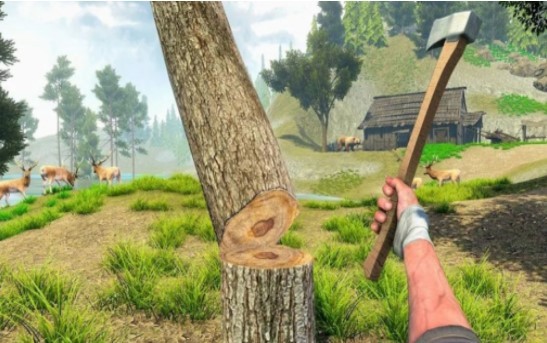 岛屿冒险生存 岛屿冒险生存