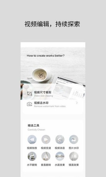 视频倒放去水印器