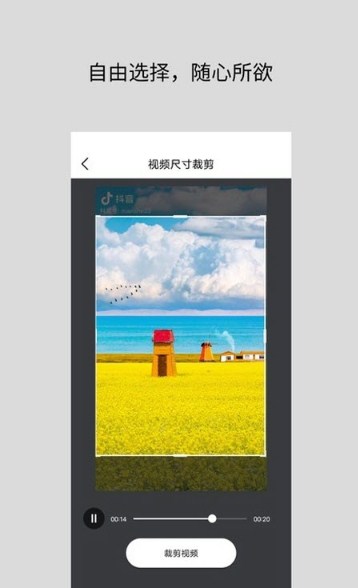 视频倒放去水印器