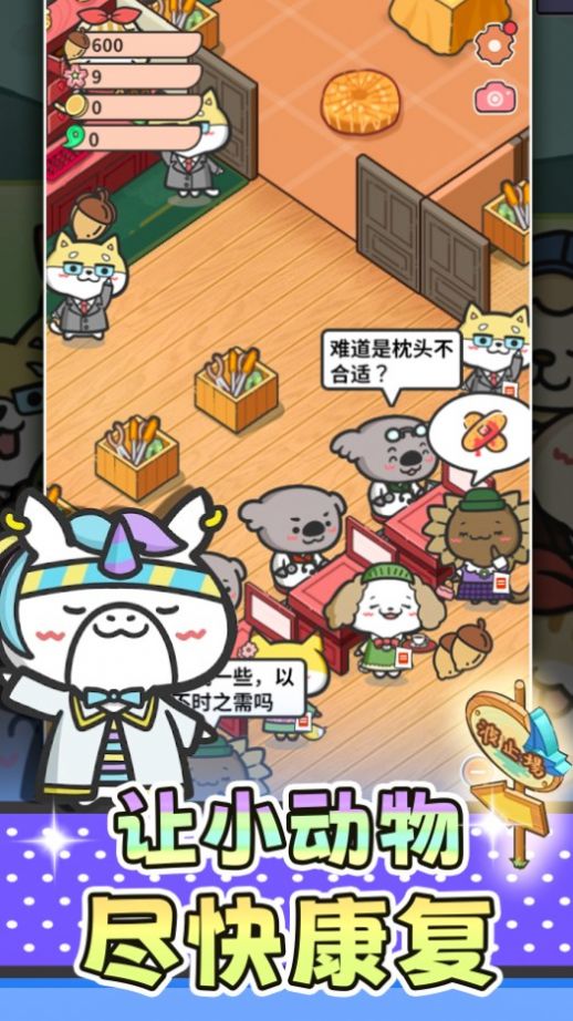 猫舍与动物之友