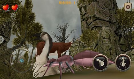 食物大陆生存 食物大陆生存