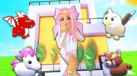 领养宠物战斗 领养宠物战斗