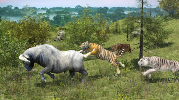 野生老虎模拟器破解版