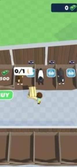 马厩生活 马厩生活