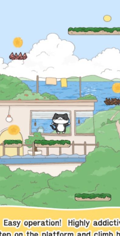 猫咪冒险跳跃运动.jpg