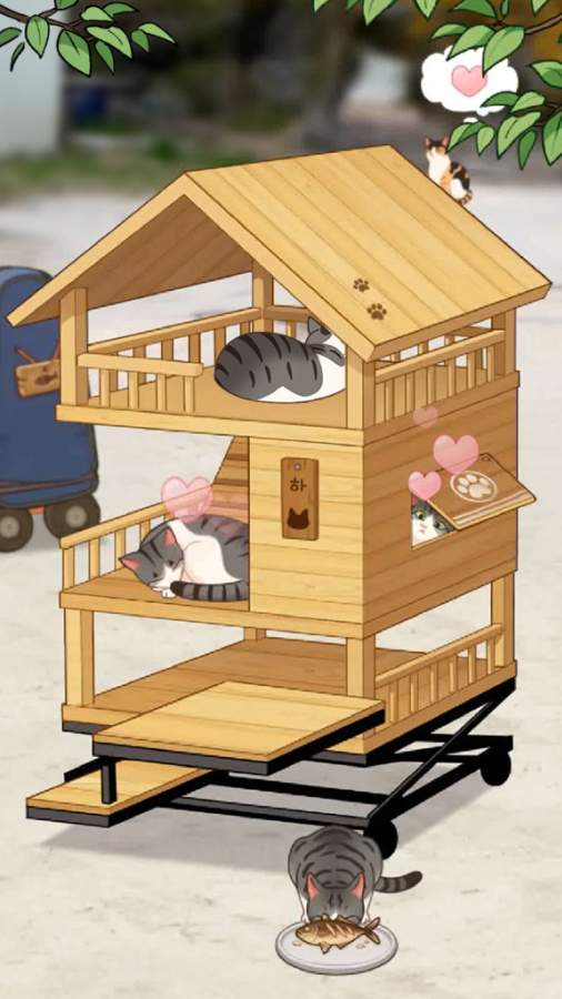 Haha渔场猫咪.jpg Haha渔场猫咪.jpg