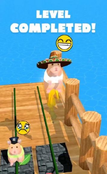 仓鼠吃叶子比赛.jpg 仓鼠吃叶子比赛.jpg