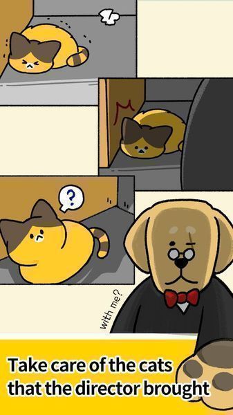 Cat Kindergarten.jpg