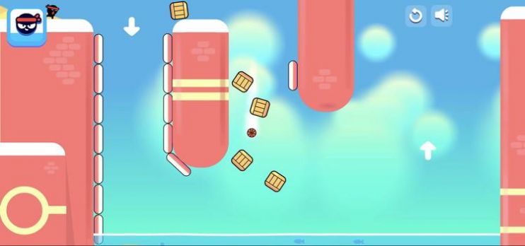 布鲁姆吉篮球 布鲁姆吉篮球