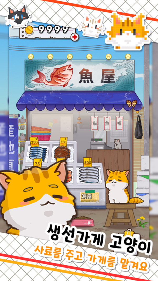 鱼店猫老板.jpg