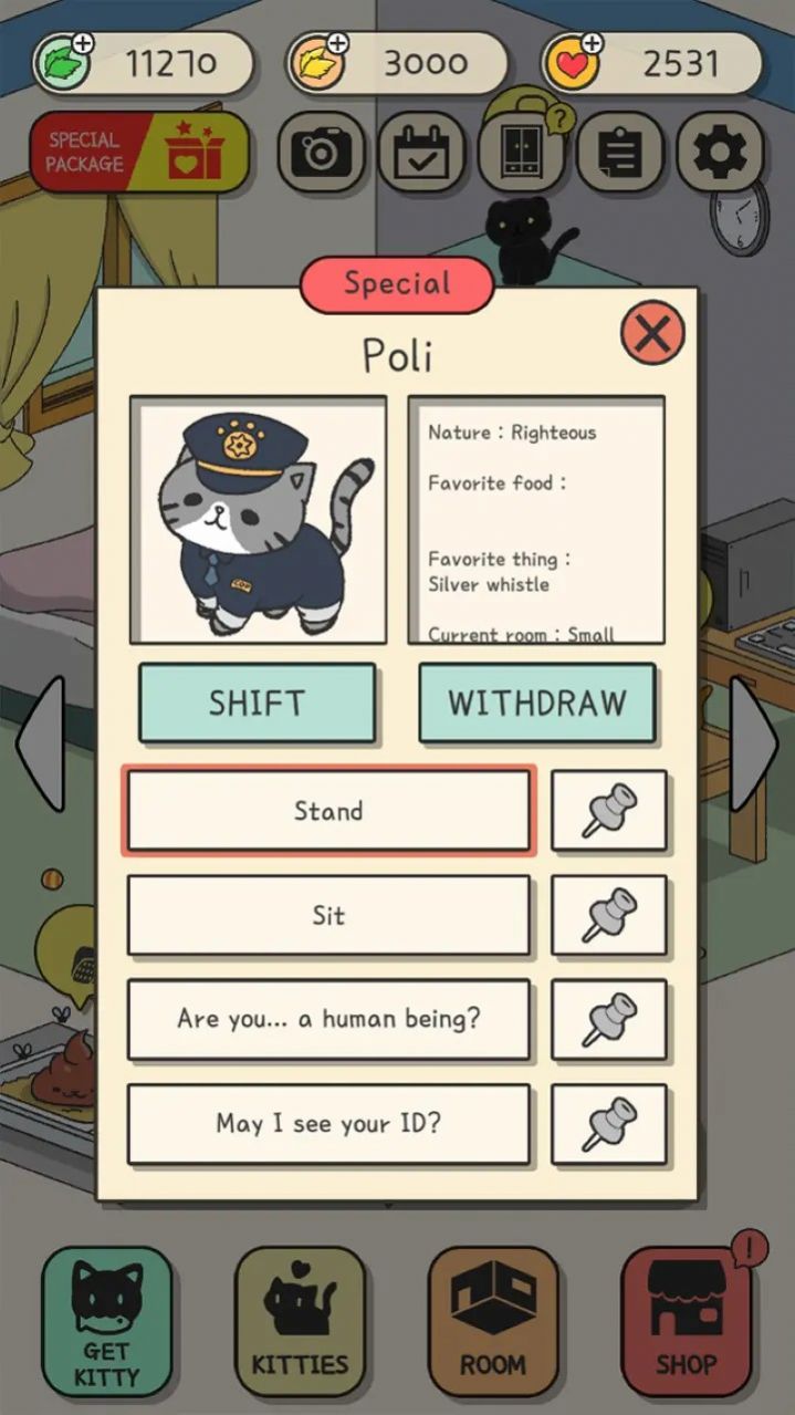 小猫咪快过来.jpg