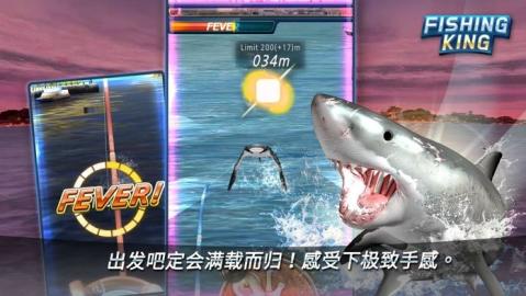 钓鱼王城市垂钓者之王