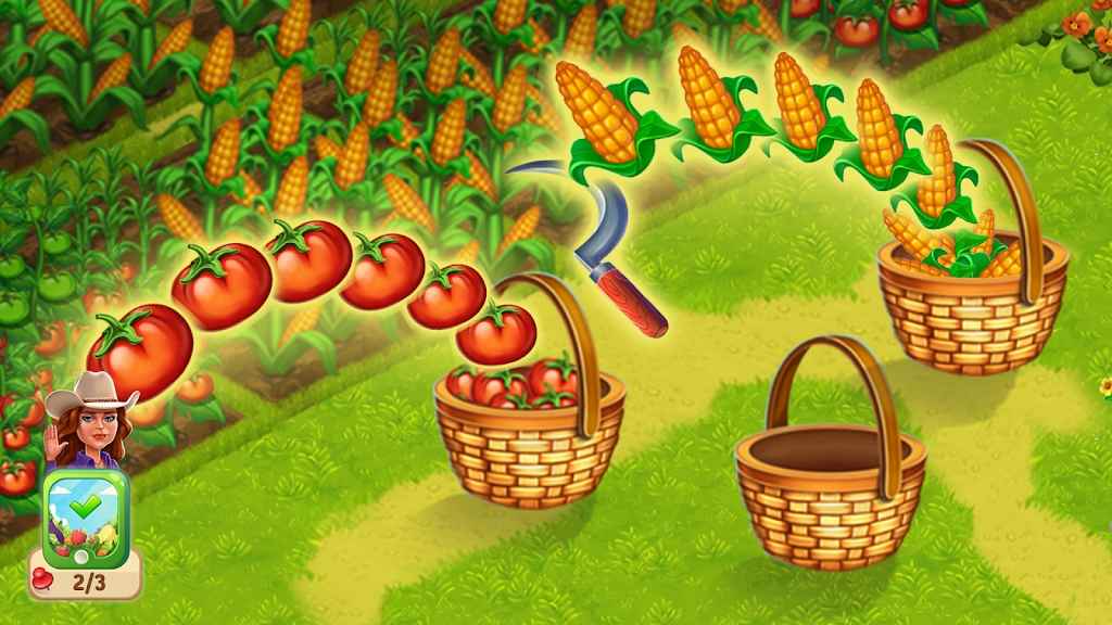 烹饪市场农场餐厅 烹饪市场农场餐厅