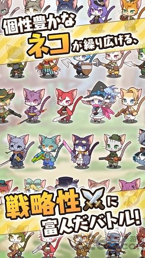 Cat Busters collections.jpg