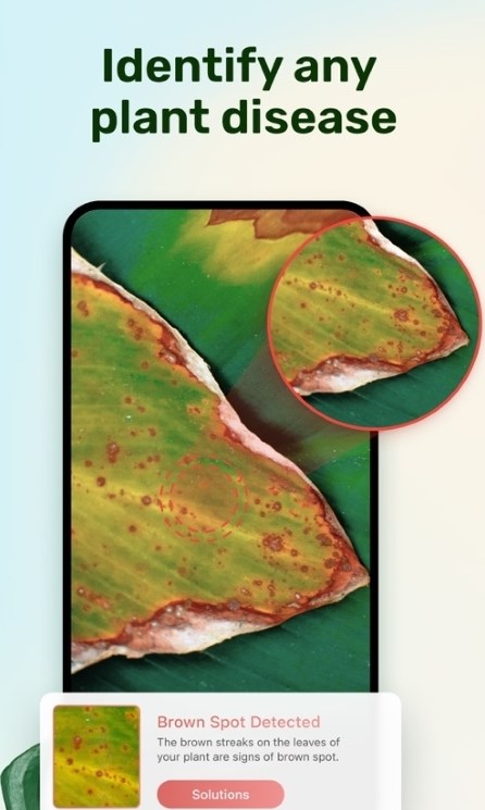 Plant Parent Plant Parent