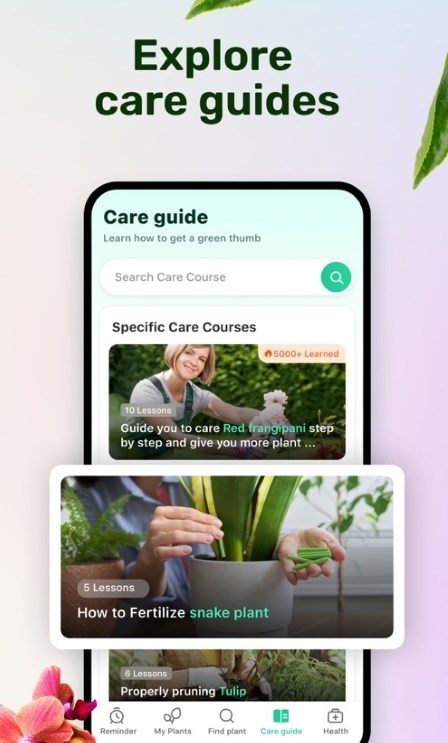 Plant Parent Plant Parent