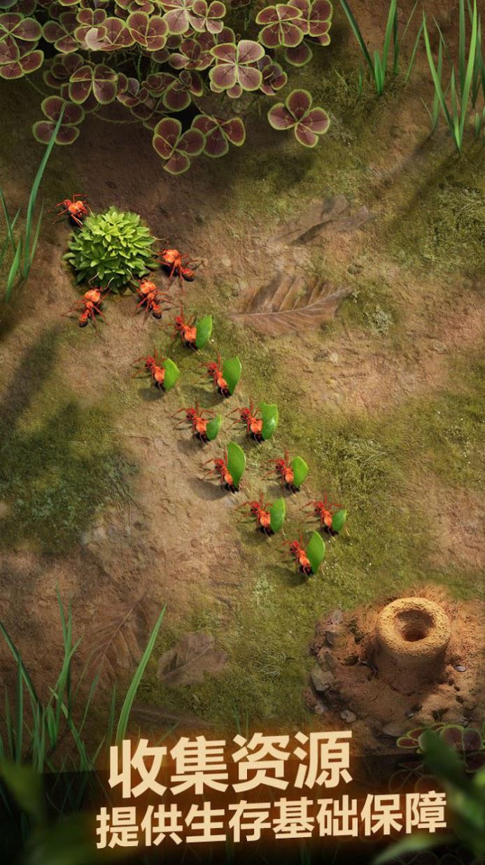 小小蚁国破解版内购破解版 小小蚁国破解版内购破解版