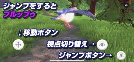 鸽宇宙.jpg