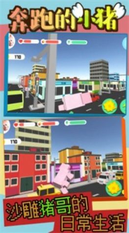 奔跑的小猪.jpg