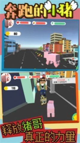 奔跑的小猪.jpg