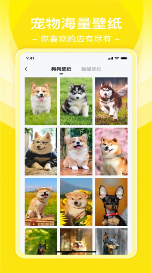 普锐动物翻译工具