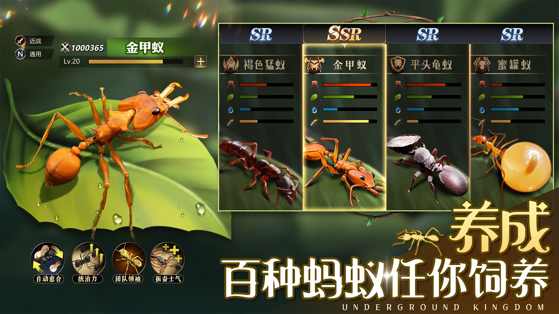 小小蚁国37 小小蚁国37