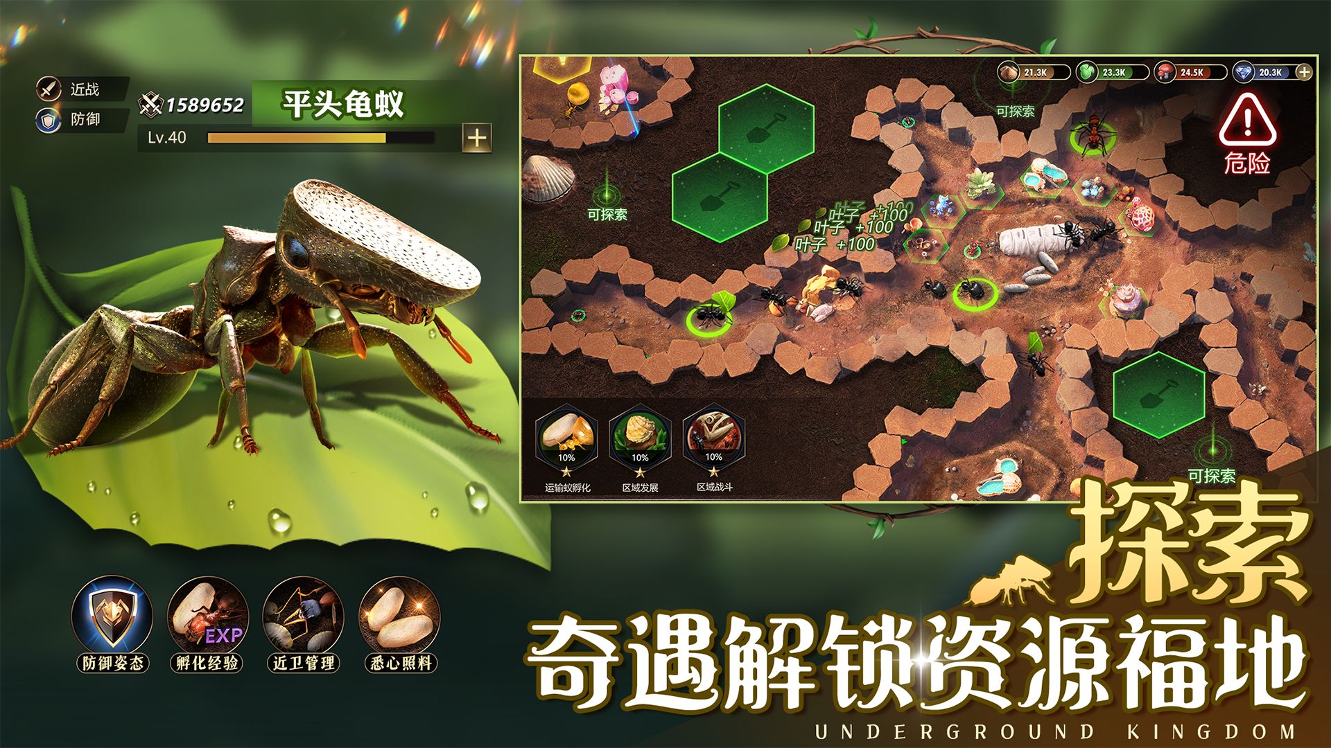 小小蚁国37 小小蚁国37
