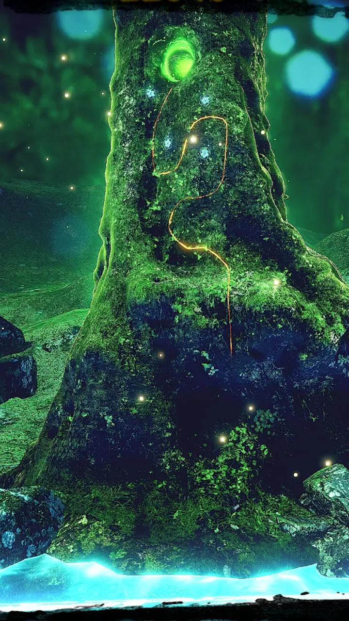 绘理的森林 绘理的森林