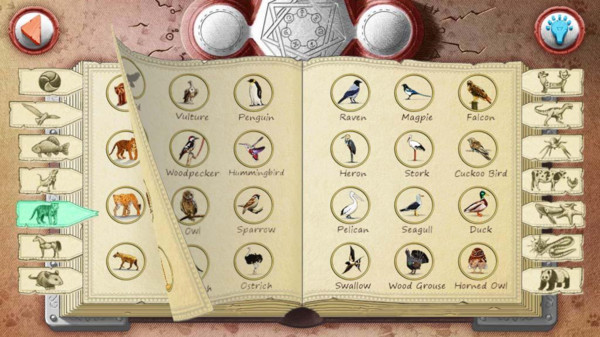  动物涂鸦炼金术