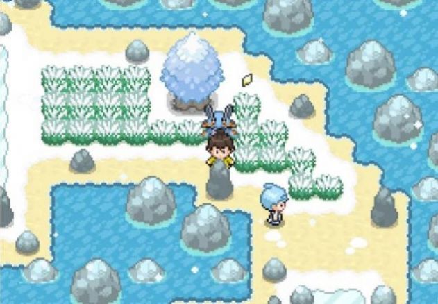 宝可梦武士道汉化版