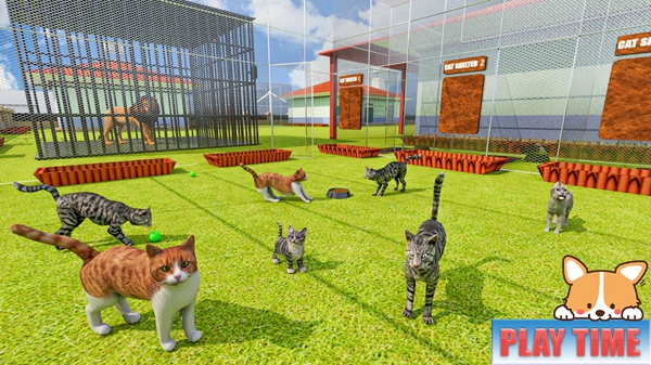 动物庇护所宠物世界