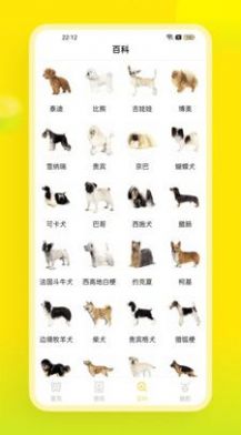 易超科宠物百科