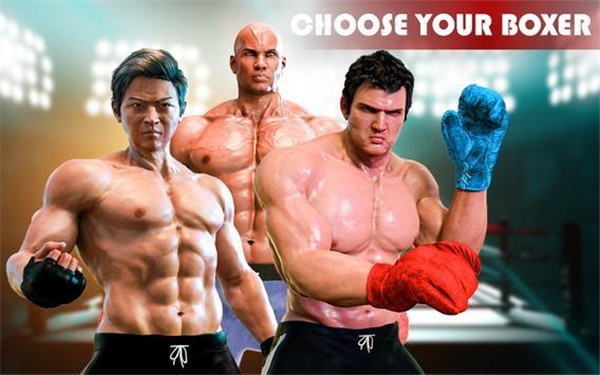 真正的终极拳击比赛 真正的终极拳击比赛