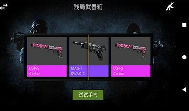 csgo真实开箱模拟器最新版