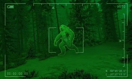 大猩猩怪物战斗