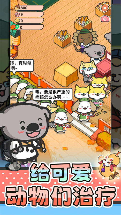 猫舍与动物之友 猫舍与动物之友