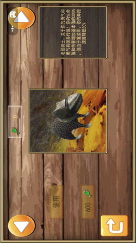 梦幻冒险动物之旅