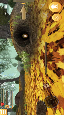 梦幻冒险动物之旅