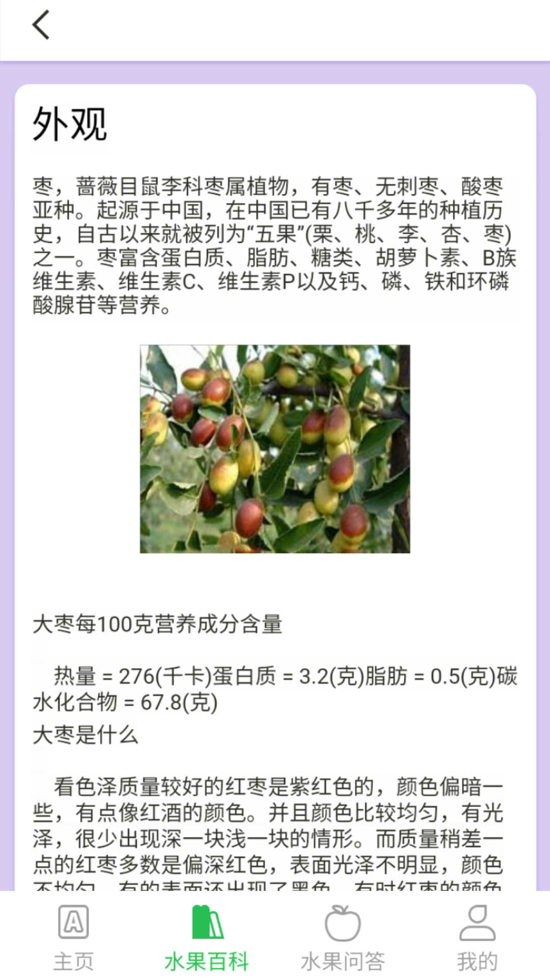 掌上果园水果知识百科