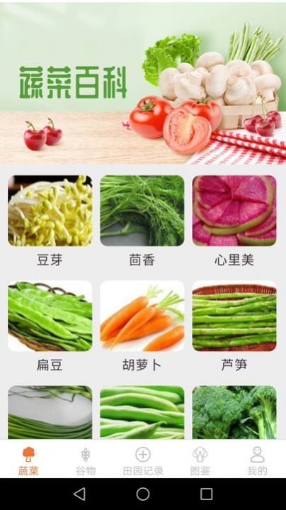 口袋田园蔬菜百科