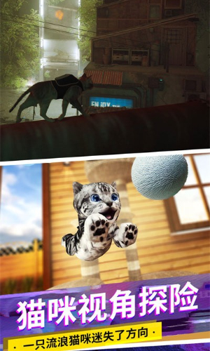 猫咪城市模拟器中文版